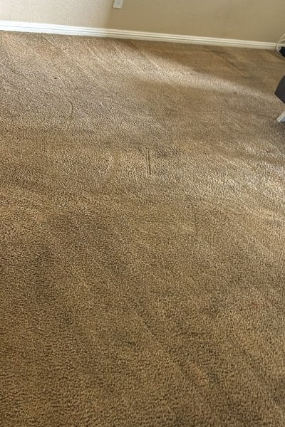 G.R.N Carpet & Upholstery Cleaning Experts G.R.N Carpet & Upholstery Cleaning Experts Carpet Cleaning in New Port Richey